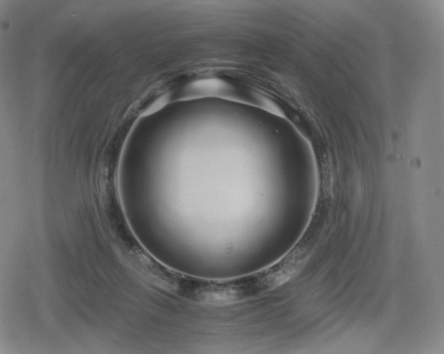 X0000080160263200612081343