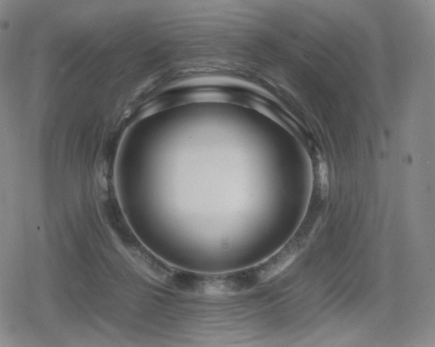 X0000080160264200612081343