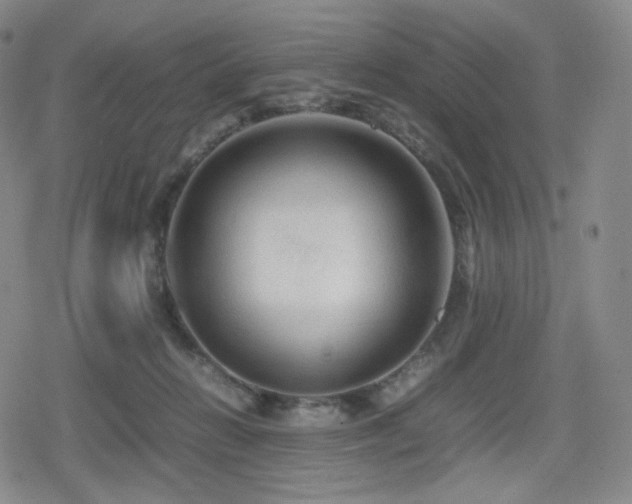 X0000080160270200612081343
