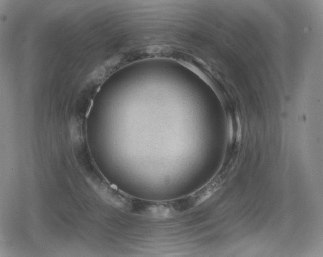 X0000080160272200612081343