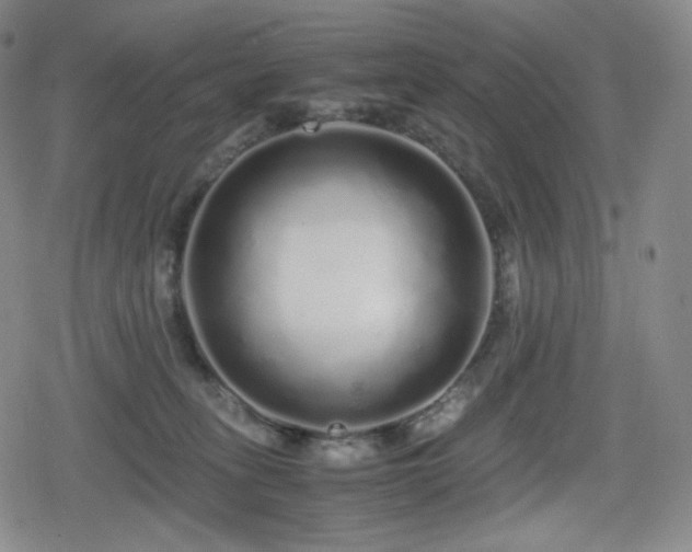 X0000080160275200612081343