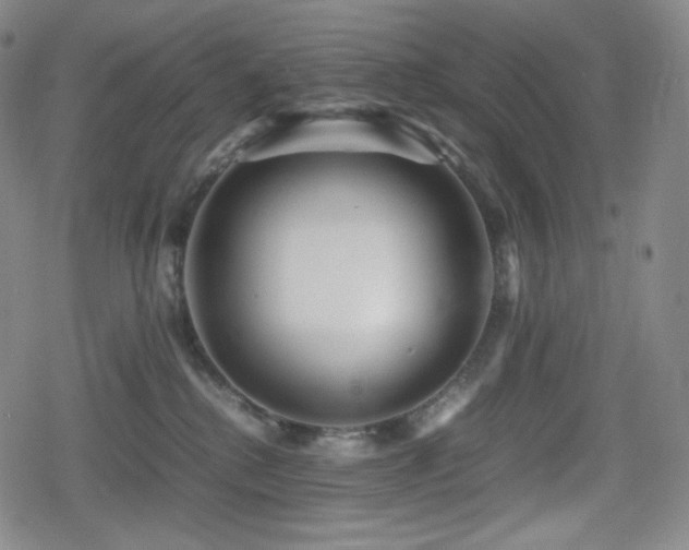 X0000080160280200612081343