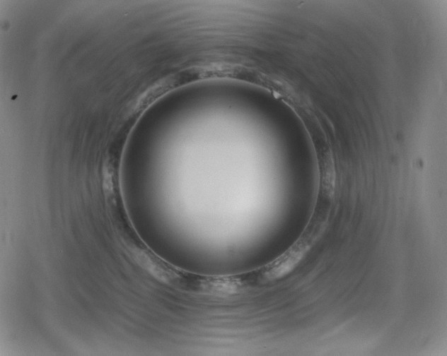 X0000080160282200612081343