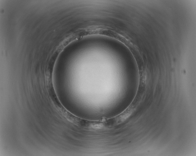 X0000080160283200612081343