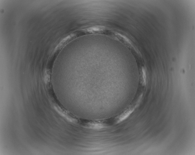 X0000080160284200612081343