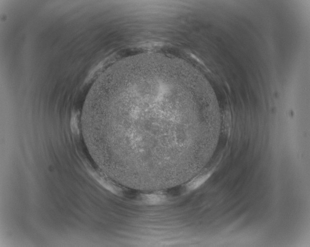 X0000080160286200612081343