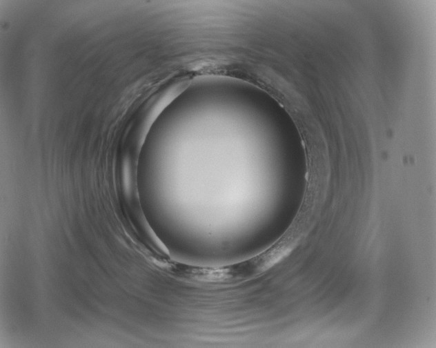 X0000080160288200612081343