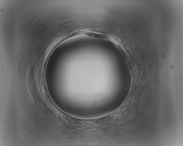 X0000080160289200612081342