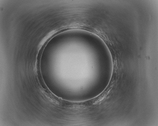X0000080160292200612081342