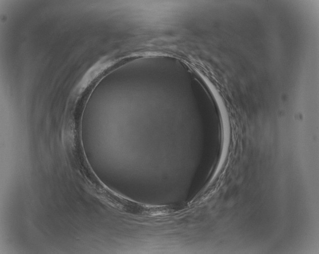X0000080160295200612081342