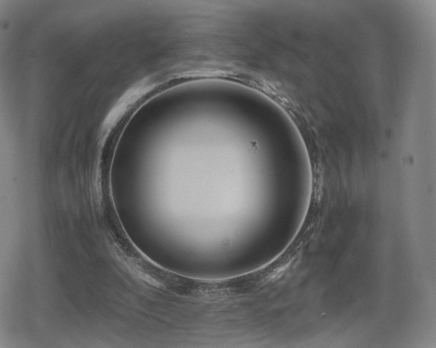 X0000080160296200612081342