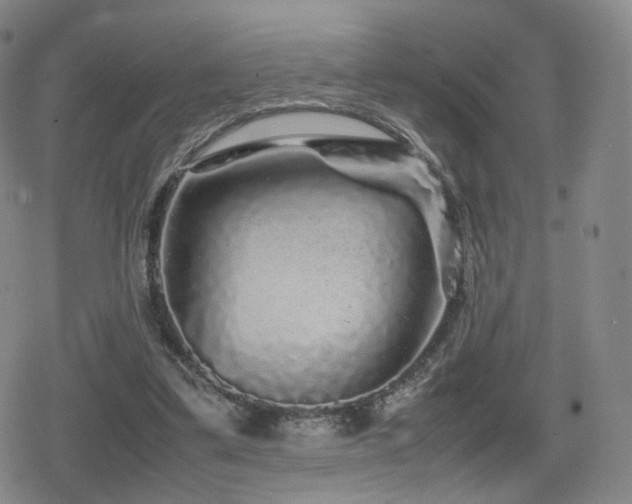 X0000080160299200612081342