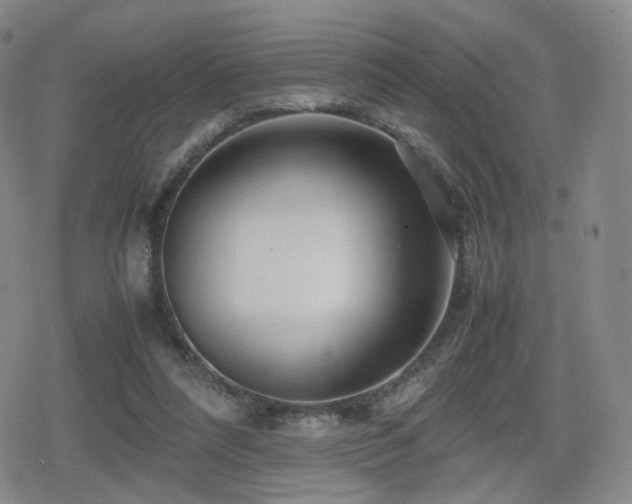 X0000080160304200612081342