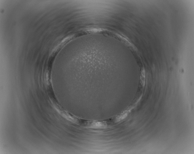 X0000080160330200612081341