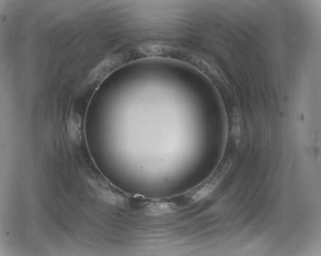 X0000080160332200612081341