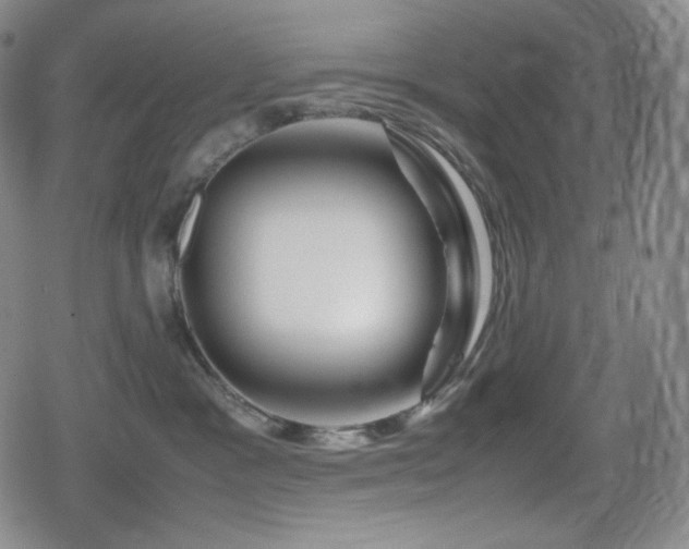 X0000080160333200612081341