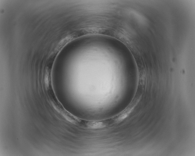 X0000080160334200612081341
