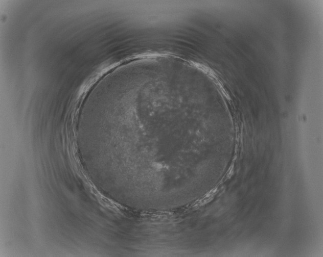 X0000080160337200612081341