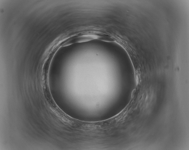 X0000080160339200612081341