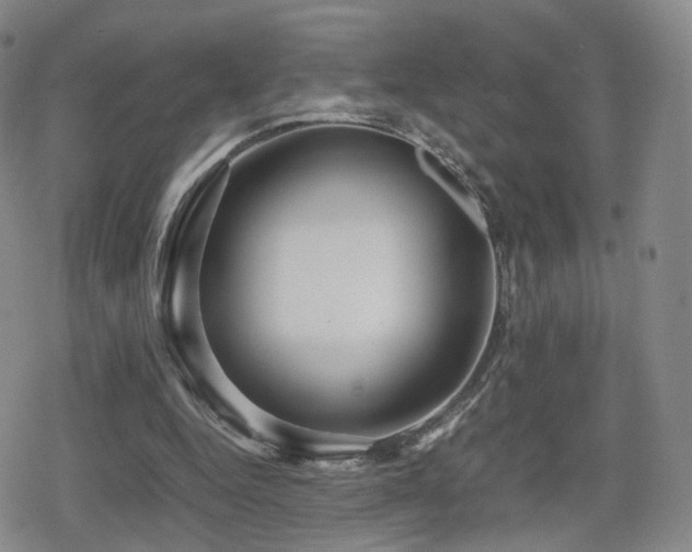 X0000080160344200612081341