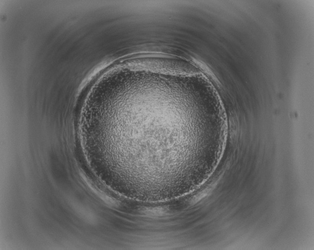 X0000080160349200612081341