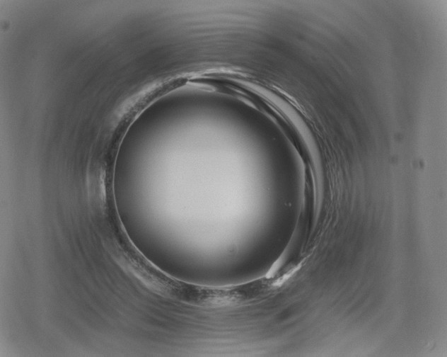 X0000080160350200612081341