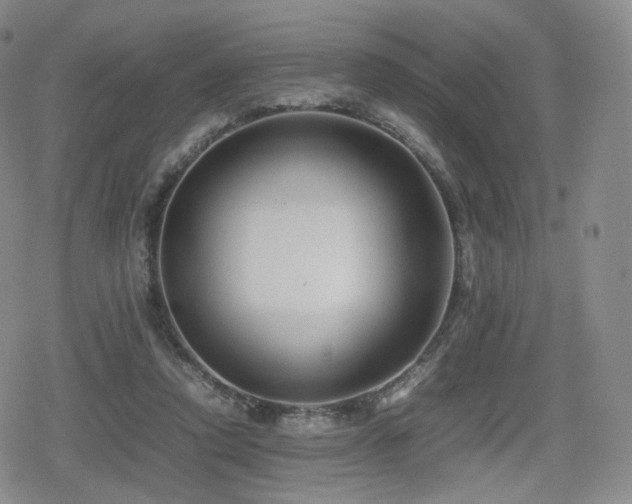 X0000080160354200612081341