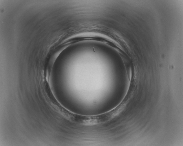 X0000080160362200612081341