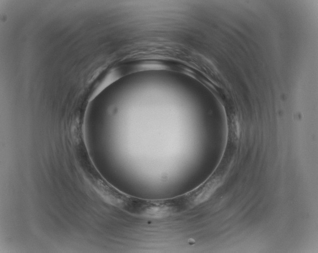 X0000080160364200612081341