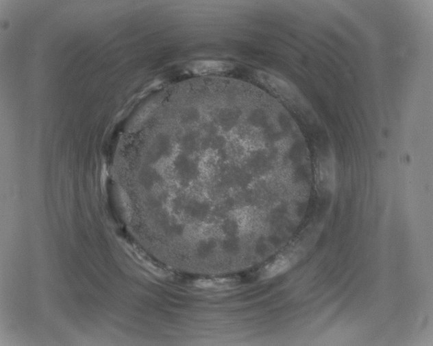 X0000080160367200612081341