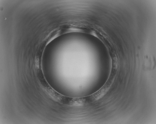 X0000080160368200612081341