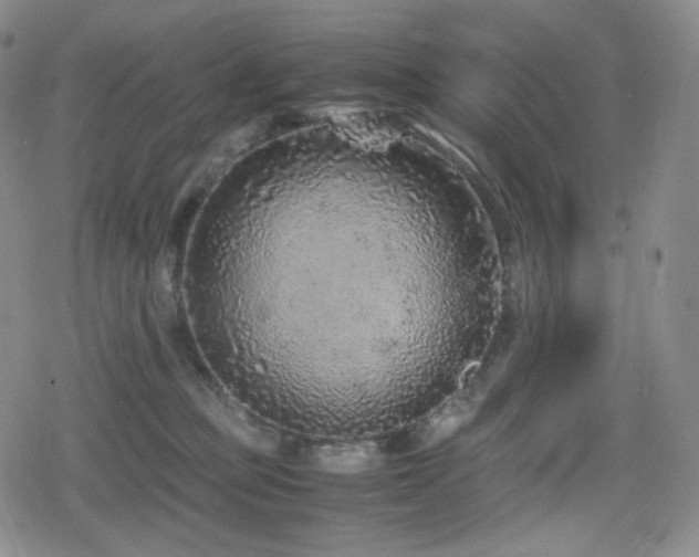 X0000080160373200612081341