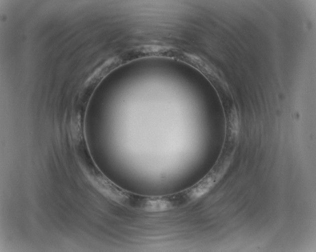 X0000080160376200612081341