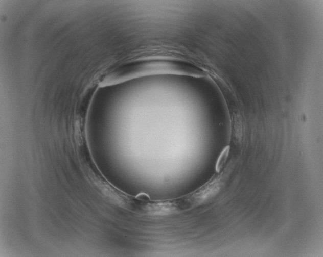 X0000080160378200612081341