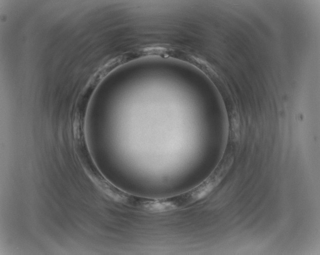 X0000080160379200612081341