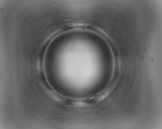 X0000080160380200612081341