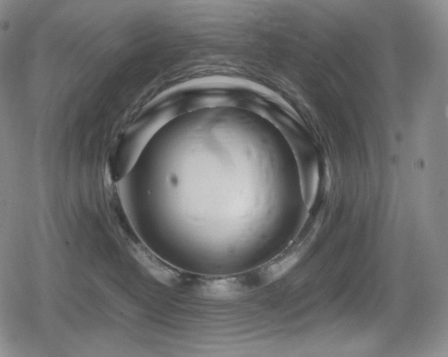 X0000080160382200612081341