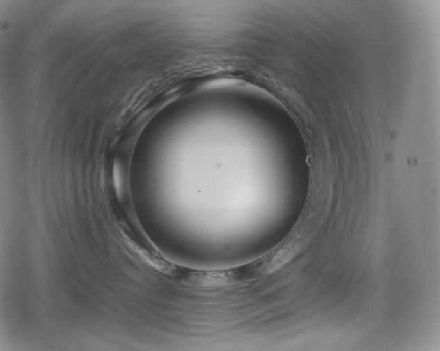 X0000080160384200612081341