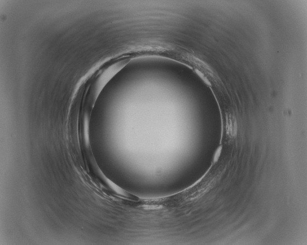 X0000080160388200612081341