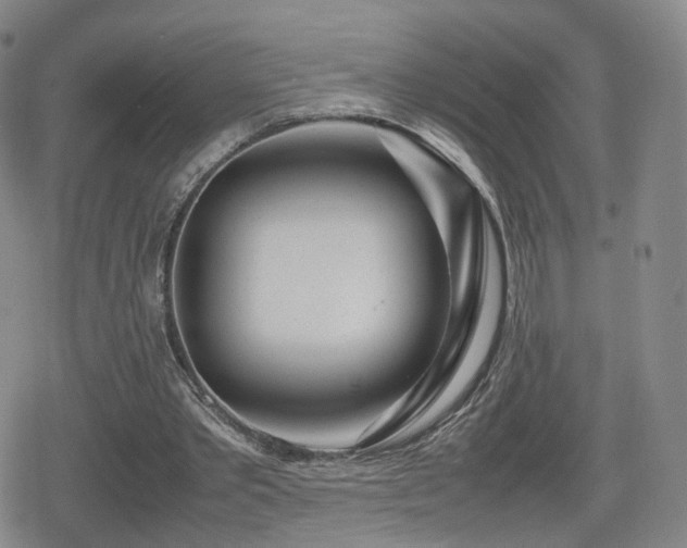 X0000080160389200612081341
