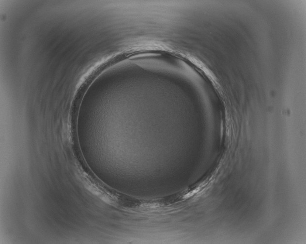 X0000080160391200612081341