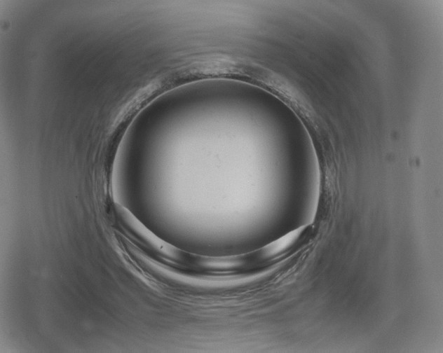 X0000080160397200612081340