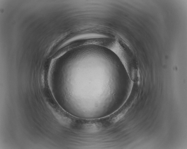 X0000080160404200612081340