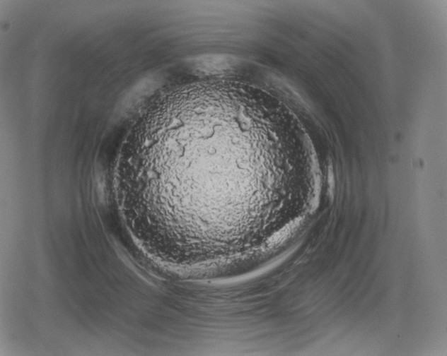 X0000080160408200612081340