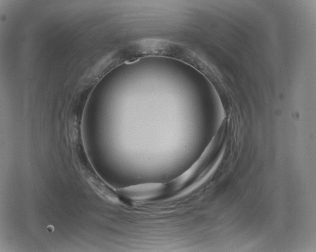 X0000080160413200612081340