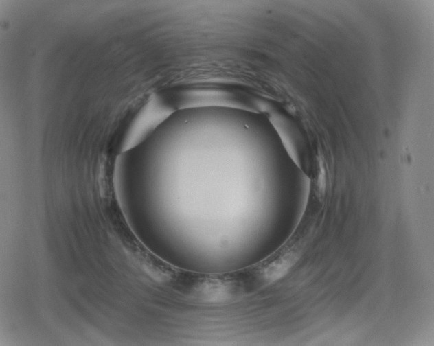 X0000080160416200612081340