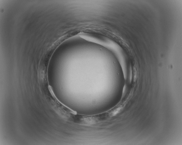 X0000080160417200612081340