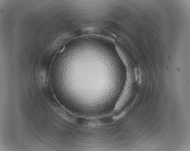 X0000080160420200612081340