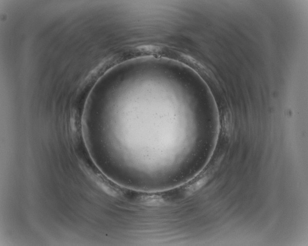 X0000080160424200612081340