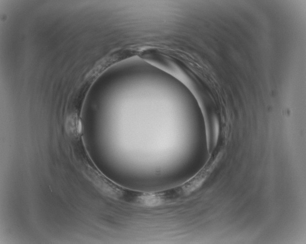 X0000080160425200612081340